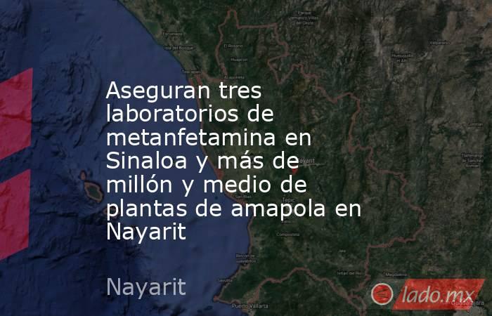 Aseguran tres laboratorios de metanfetamina en Sinaloa y más de millón y medio de plantas de amapola en Nayarit. Noticias en tiempo real