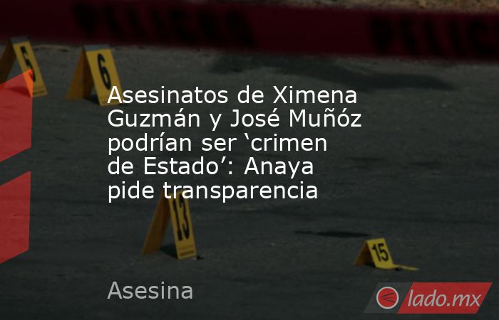 Asesinatos de Ximena Guzmán y José Muñóz podrían ser ‘crimen de Estado’: Anaya pide transparencia. Noticias en tiempo real