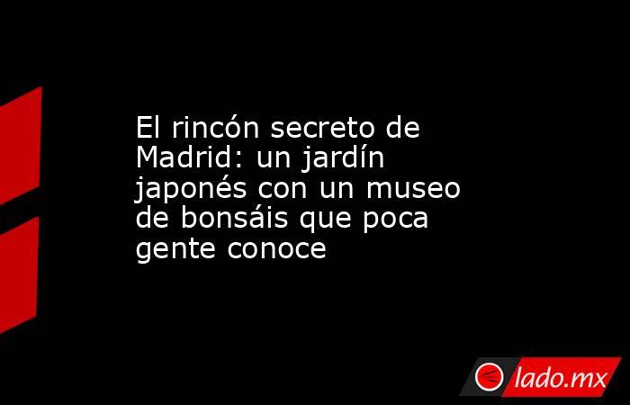 El rincón secreto de Madrid: un jardín japonés con un museo de bonsáis que poca gente conoce. Noticias en tiempo real