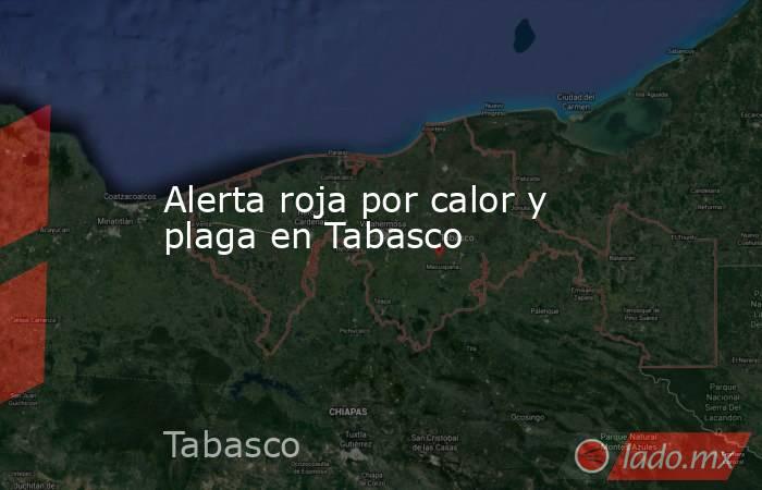 Alerta roja por calor y plaga en Tabasco. Noticias en tiempo real