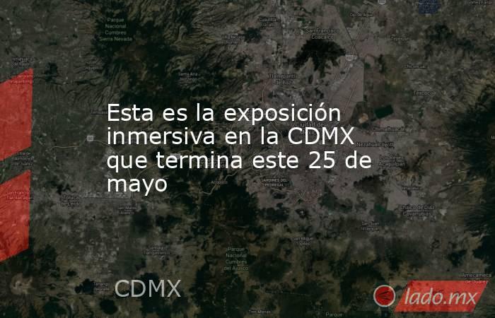 Esta es la exposición inmersiva en la CDMX que termina este 25 de mayo. Noticias en tiempo real