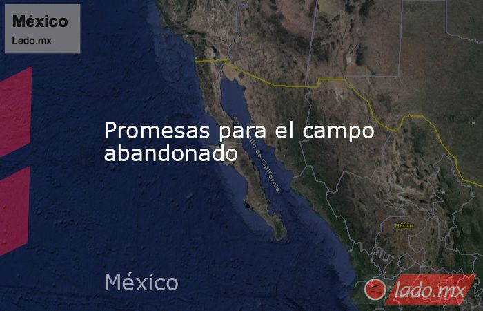 Promesas para el campo abandonado. Noticias en tiempo real