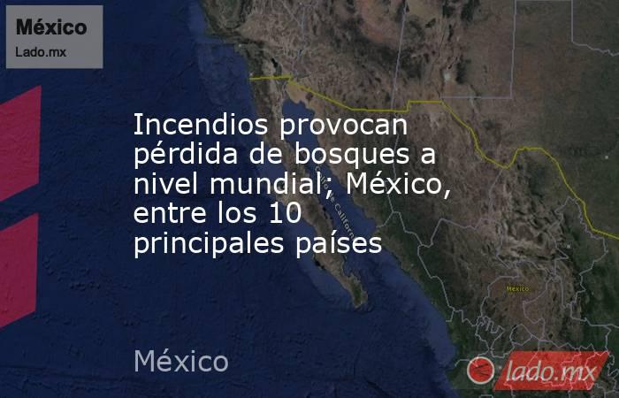 Incendios provocan pérdida de bosques a nivel mundial; México, entre los 10 principales países. Noticias en tiempo real