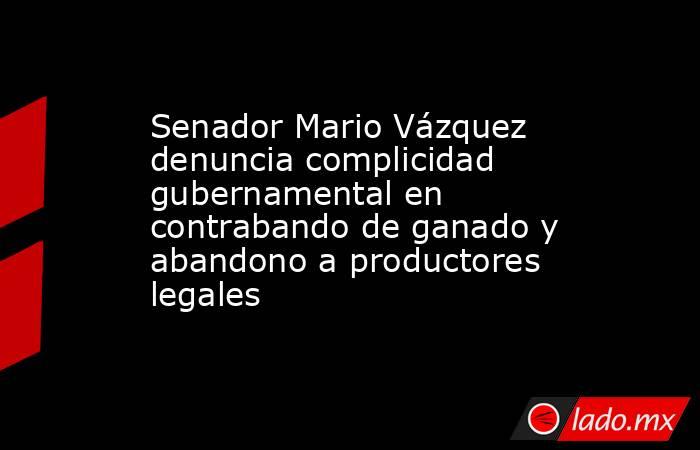 Senador Mario Vázquez denuncia complicidad gubernamental en contrabando de ganado y abandono a productores legales. Noticias en tiempo real