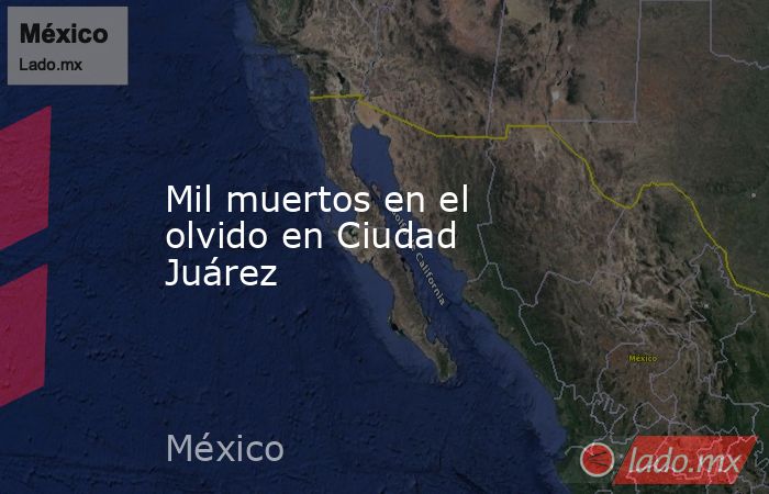 Mil muertos en el olvido en Ciudad Juárez. Noticias en tiempo real