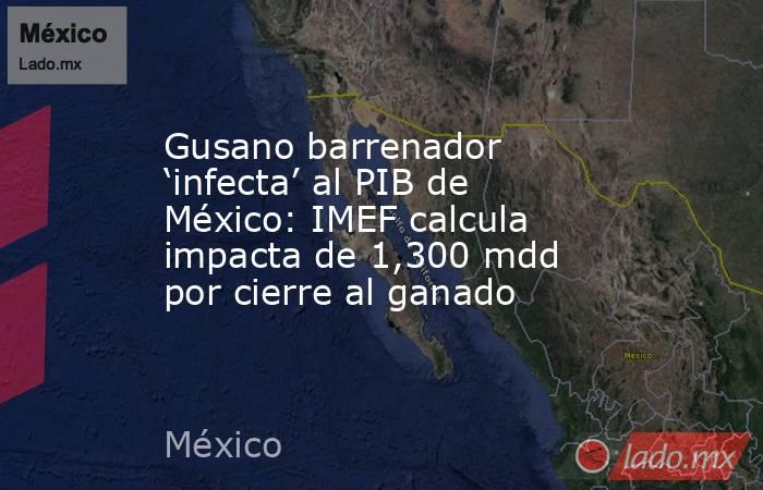 Gusano barrenador ‘infecta’ al PIB de México: IMEF calcula impacta de 1,300 mdd por cierre al ganado. Noticias en tiempo real