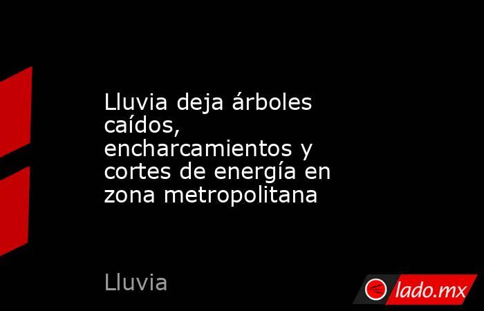 Lluvia deja árboles caídos, encharcamientos y cortes de energía en zona metropolitana. Noticias en tiempo real