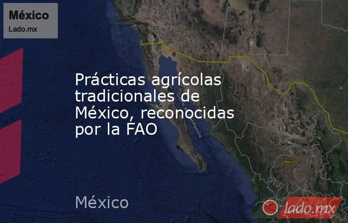 Prácticas agrícolas tradicionales de México, reconocidas por la FAO. Noticias en tiempo real