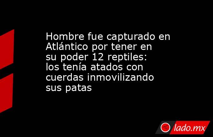 Hombre fue capturado en Atlántico por tener en su poder 12 reptiles: los tenía atados con cuerdas inmovilizando sus patas  . Noticias en tiempo real