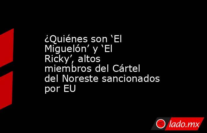 ¿Quiénes son ‘El Miguelón’ y ‘El Ricky’, altos miembros del Cártel del Noreste sancionados por EU. Noticias en tiempo real