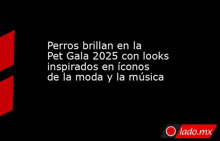 Perros brillan en la Pet Gala 2025 con looks inspirados en íconos de la moda y la música. Noticias en tiempo real