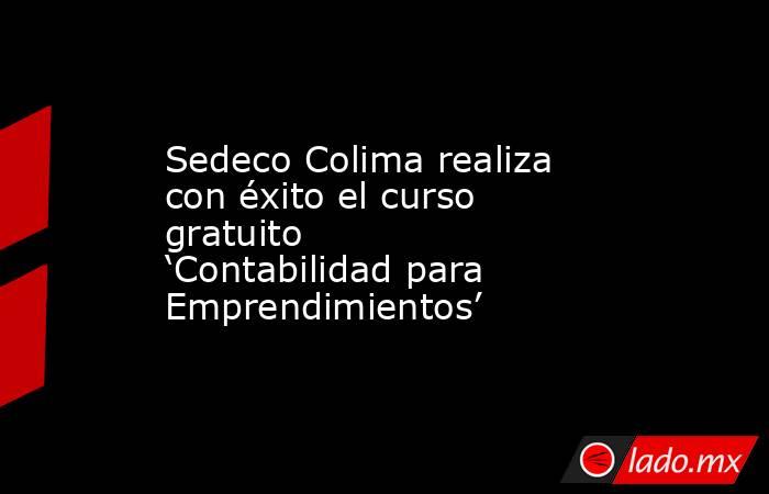 Sedeco Colima realiza con éxito el curso gratuito ‘Contabilidad para Emprendimientos’. Noticias en tiempo real