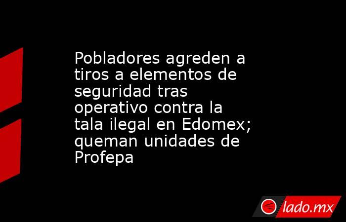 Pobladores agreden a tiros a elementos de seguridad tras operativo contra la tala ilegal en Edomex; queman unidades de Profepa . Noticias en tiempo real