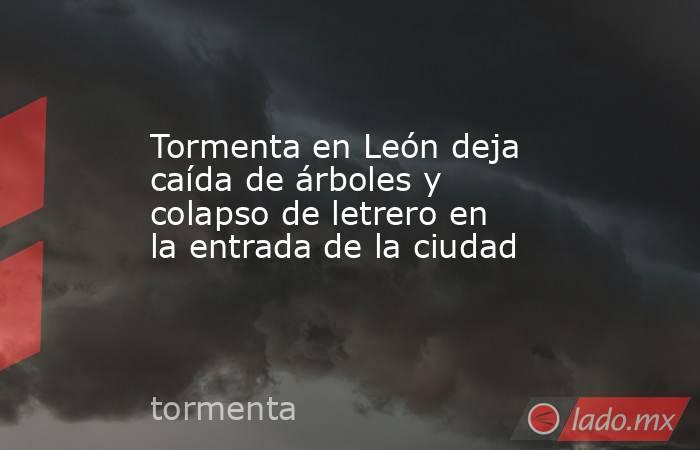 Tormenta en León deja caída de árboles y colapso de letrero en la entrada de la ciudad. Noticias en tiempo real