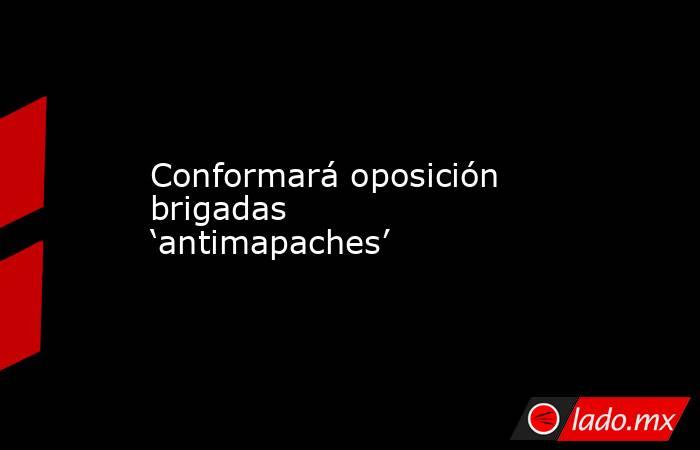Conformará oposición brigadas ‘antimapaches’. Noticias en tiempo real
