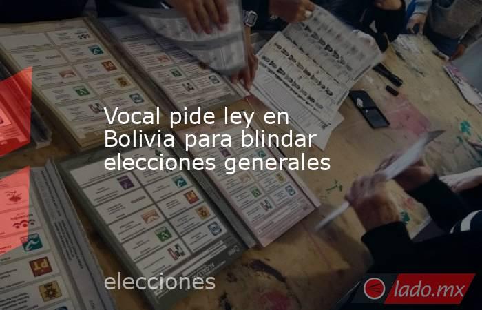 Vocal pide ley en Bolivia para blindar elecciones generales. Noticias en tiempo real