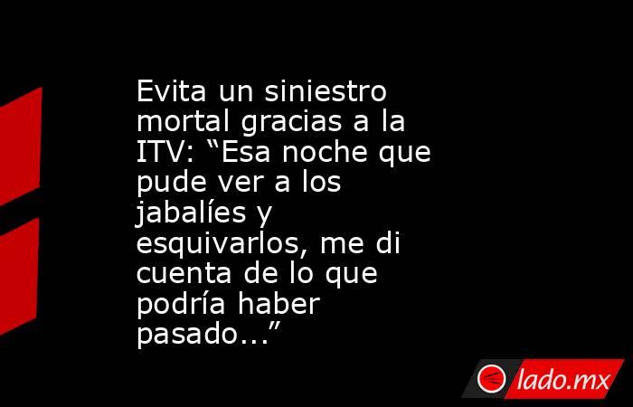Evita un siniestro mortal gracias a la ITV: “Esa noche que pude ver a los jabalíes y esquivarlos, me di cuenta de lo que podría haber pasado...”. Noticias en tiempo real
