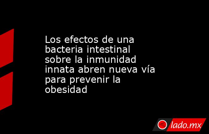 Los efectos de una bacteria intestinal sobre la inmunidad innata abren nueva vía para prevenir la obesidad. Noticias en tiempo real