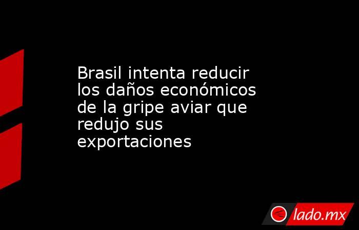 Brasil intenta reducir los daños económicos de la gripe aviar que redujo sus exportaciones  . Noticias en tiempo real