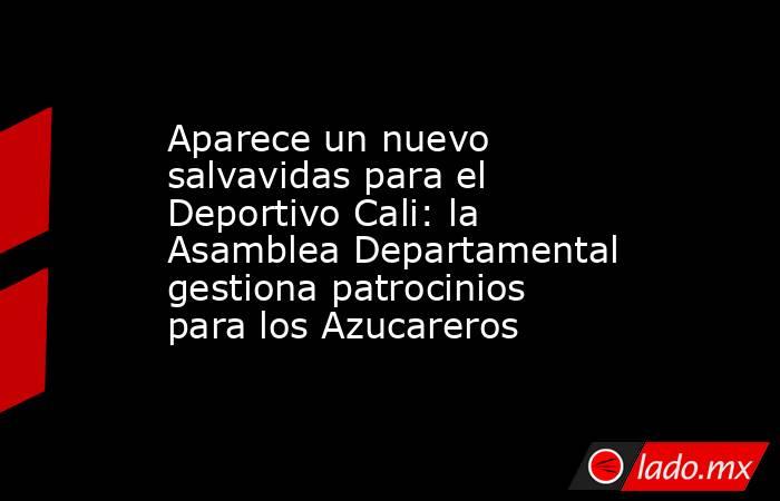 Aparece un nuevo salvavidas para el Deportivo Cali: la Asamblea Departamental gestiona patrocinios para los Azucareros. Noticias en tiempo real