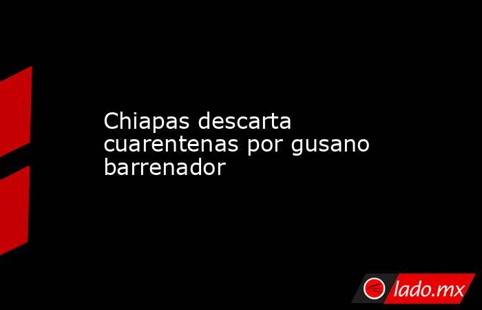 Chiapas descarta cuarentenas por gusano barrenador. Noticias en tiempo real