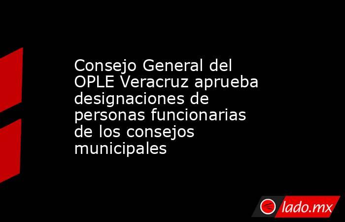 Consejo General del OPLE Veracruz aprueba designaciones de personas funcionarias de los consejos municipales. Noticias en tiempo real
