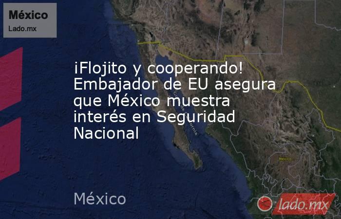 ¡Flojito y cooperando! Embajador de EU asegura que México muestra interés en Seguridad Nacional. Noticias en tiempo real