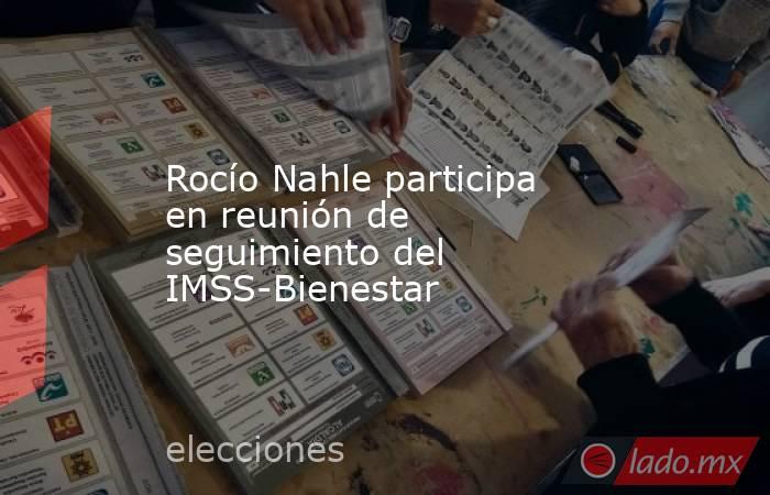 Rocío Nahle participa en reunión de seguimiento del IMSS-Bienestar. Noticias en tiempo real