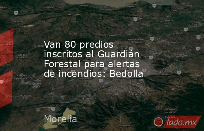 Van 80 predios inscritos al Guardián Forestal para alertas de incendios: Bedolla. Noticias en tiempo real