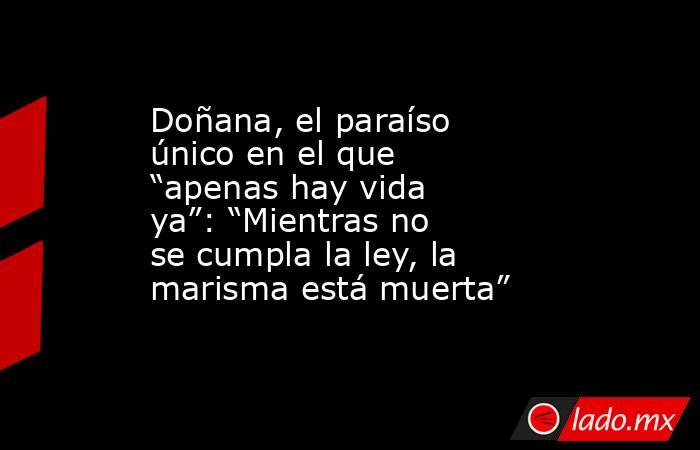 Doñana, el paraíso único en el que “apenas hay vida ya”: “Mientras no se cumpla la ley, la marisma está muerta”. Noticias en tiempo real