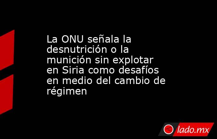 La ONU señala la desnutrición o la munición sin explotar en Siria como desafíos en medio del cambio de régimen. Noticias en tiempo real