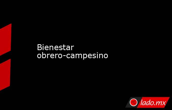 Bienestar obrero-campesino. Noticias en tiempo real