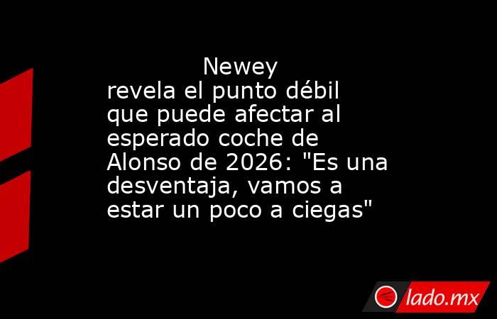                                     Newey revela el punto débil que puede afectar al esperado coche de Alonso de 2026: 