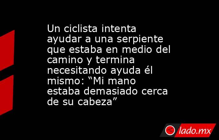 Un ciclista intenta ayudar a una serpiente que estaba en medio del camino y termina necesitando ayuda él mismo: “Mi mano estaba demasiado cerca de su cabeza”. Noticias en tiempo real