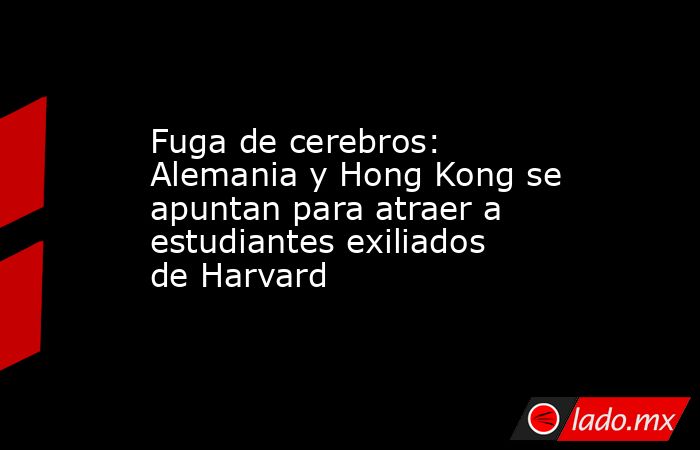 Fuga de cerebros: Alemania y Hong Kong se apuntan para atraer a estudiantes exiliados de Harvard. Noticias en tiempo real