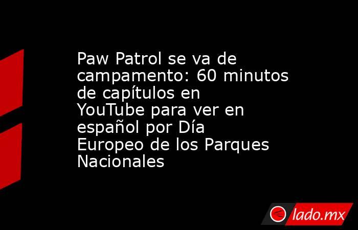 Paw Patrol se va de campamento: 60 minutos de capítulos en YouTube para ver en español por Día Europeo de los Parques Nacionales. Noticias en tiempo real