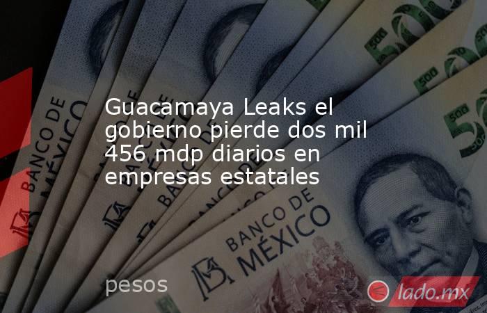 Guacamaya Leaks el gobierno pierde dos mil 456 mdp diarios en empresas estatales. Noticias en tiempo real