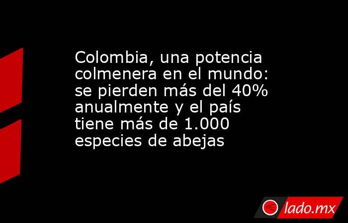 Colombia, una potencia colmenera en el mundo: se pierden más del 40% anualmente y el país tiene más de 1.000 especies de abejas. Noticias en tiempo real