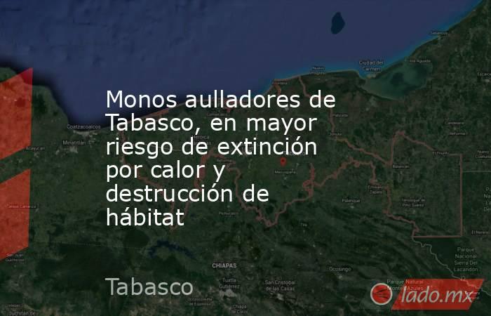 Monos aulladores de Tabasco, en mayor riesgo de extinción por calor y destrucción de hábitat. Noticias en tiempo real