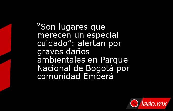 “Son lugares que merecen un especial cuidado”: alertan por graves daños ambientales en Parque Nacional de Bogotá por comunidad Emberá. Noticias en tiempo real