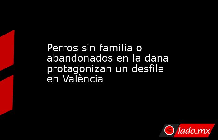 Perros sin familia o abandonados en la dana protagonizan un desfile en València. Noticias en tiempo real