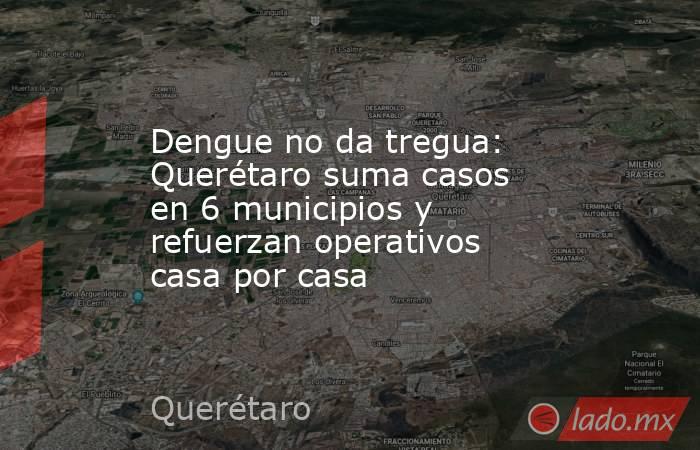Dengue no da tregua: Querétaro suma casos en 6 municipios y refuerzan operativos casa por casa. Noticias en tiempo real