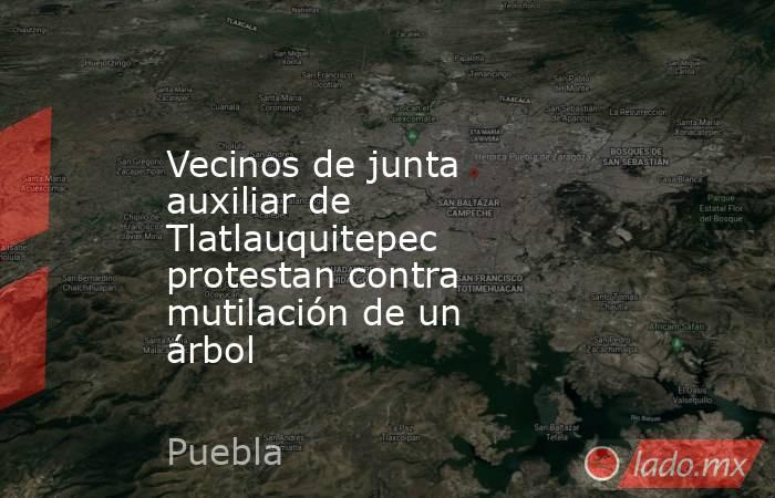 Vecinos de junta auxiliar de Tlatlauquitepec protestan contra mutilación de un árbol. Noticias en tiempo real