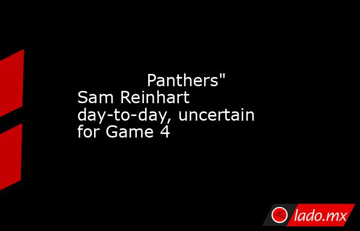             Panthers