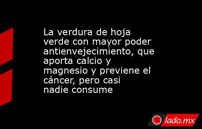 La verdura de hoja verde con mayor poder antienvejecimiento, que aporta calcio y magnesio y previene el cáncer, pero casi nadie consume. Noticias en tiempo real