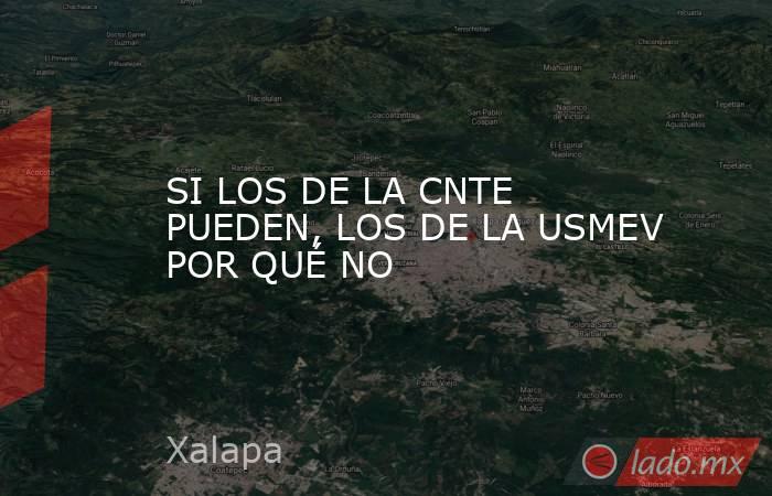 SI LOS DE LA CNTE PUEDEN, LOS DE LA USMEV POR QUÉ NO. Noticias en tiempo real