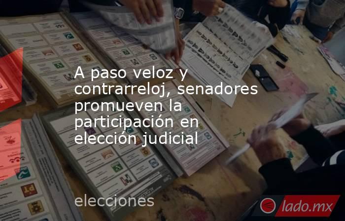 A paso veloz y contrarreloj, senadores promueven la participación en elección judicial. Noticias en tiempo real