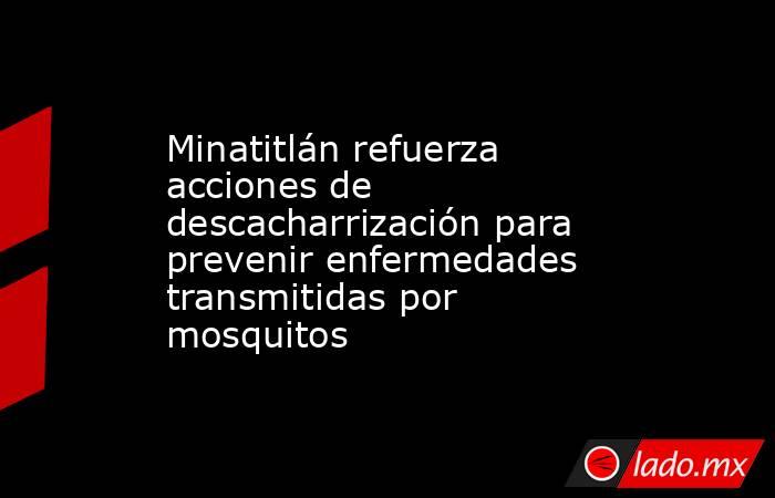 Minatitlán refuerza acciones de descacharrización para prevenir enfermedades transmitidas por mosquitos. Noticias en tiempo real