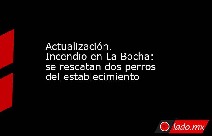 Actualización. Incendio en La Bocha: se rescatan dos perros del establecimiento. Noticias en tiempo real
