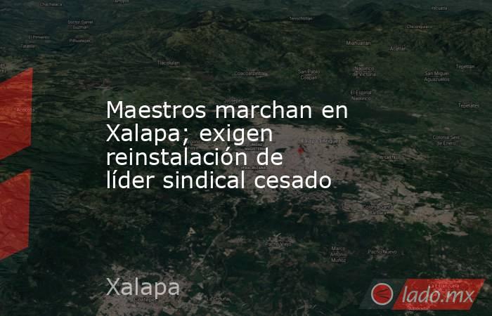 Maestros marchan en Xalapa; exigen reinstalación de líder sindical cesado. Noticias en tiempo real